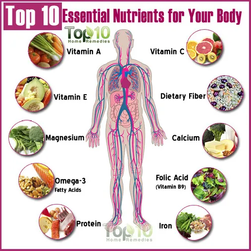 Why Nutrition Is Essential for Fitness Success